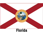 Annin 12in x 18in Florida Flag - 140947WE