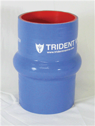 TRIDENT272V 2T 10